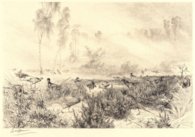 Félix Bracquemond (French, 1833 - 1914). Morning Mists (Brumes du Matin). Etching. Second state.