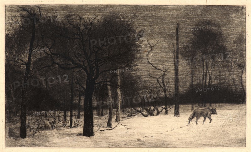 Félix Bracquemond (French, 1833 - 1914). Winter (Hiver, ou le Loup dans la Neige). Etching. Third state.