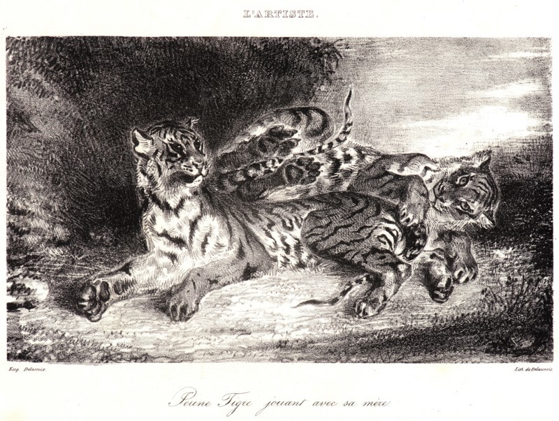 EugÃ¨ne Delacroix (French, 1798 - 1863). Young Tiger Playing with its Mother (Jeune Tigre jouant avec sa MÃªre), 1831. Lithograph.