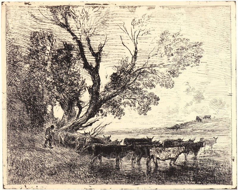 Charles FranÃ§ois Daubigny (French, 1817 - 1878). Le Gué, 1862. From Quarante Clichés-Glace. Cliché-verre.