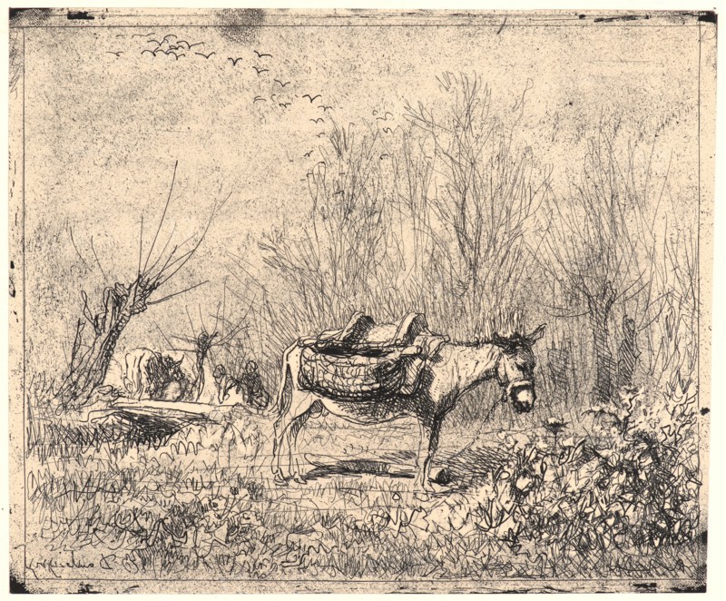 Charles FranÃ§ois Daubigny (French, 1817 - 1878). L'Ane au Pré, 1862. From Quarante Clichés-Glace. Cliché-verre.