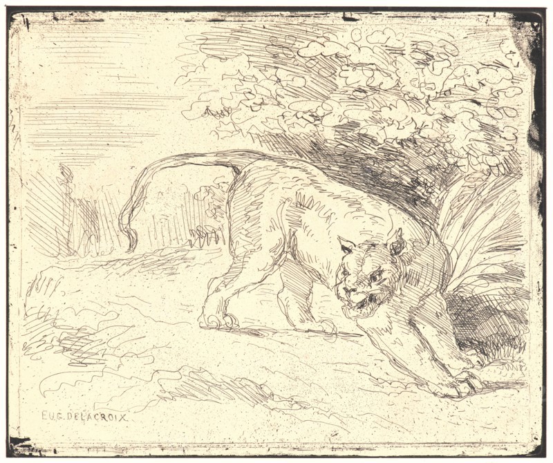 EugÃ¨ne Delacroix (French, 1798 - 1863). Tigre en Arret, 19th century. From Quarante Clichés-Glace. Cliché-verre.