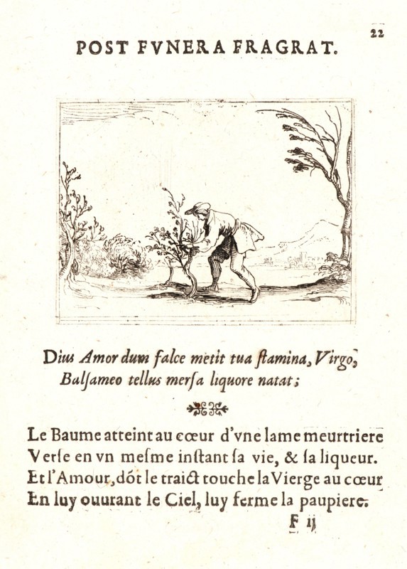 Jacques Callot (French, 1592 - 1635). Homme Coupant Baumier, 17th century. From The Life of the Virgin in Emblems (La Vie de la MÃ¨re de Dieu représentée par des. Etching. First of two states.