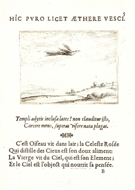 Jacques Callot (French, 1592 - 1635). L'Oisseau de Paradis, 17th century. From The Life of the Virgin in Emblems (La Vie de la MÃ¨re de Dieu représentée par des. Etching. First of two states.