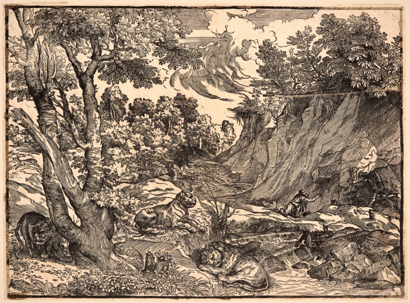 Attributed to NicolÃ² Boldrini (Italian, born ca. 1500) after Titian (Italian (Venetian), ca. 1488 - 1576). St. Jerome in the Wilderness, ca. 1525-1530. Woodcut. Image: 390 mm x 530 mm (15.35 in. x 20.87 in.).