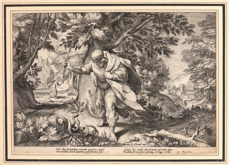 Anonymous after Hendrick Goltzius (Dutch, 1558 - 1617). Tiresias, in the Form of a Woman, Striking Two Coupled Snakes with His Staff, ca. 1615. From Metamorphoses. Engraving on wove paper. Plate: 175 mm x 254 mm (6.89 in. x 10 in.).