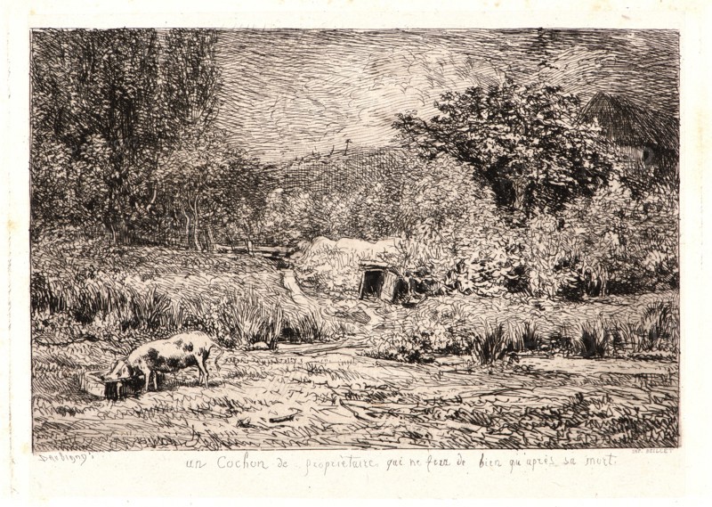 Charles FranÃ§ois Daubigny (French, 1817 - 1878). Pig in an Orchard (Le Cochon dans un Verger), ca. 1860. Etching on chine collé. Plate: 121 mm x 169 mm (4.76 in. x 6.65 in.). Third of three states.