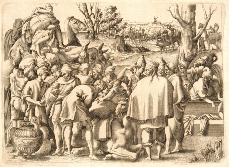 Attributed to Master I. [*]. V. (School of Fontainebleau, French or Italian, active 1540â€ì1545) after Luca Penni (Italian, 1500/1504-1577). Men Gathered around a Camel, ca. 1540- 1545. Etching printed in brown ink on laid paper. Plate: 305 mm x 430 mm (12.01 in. x 16.93 in.).