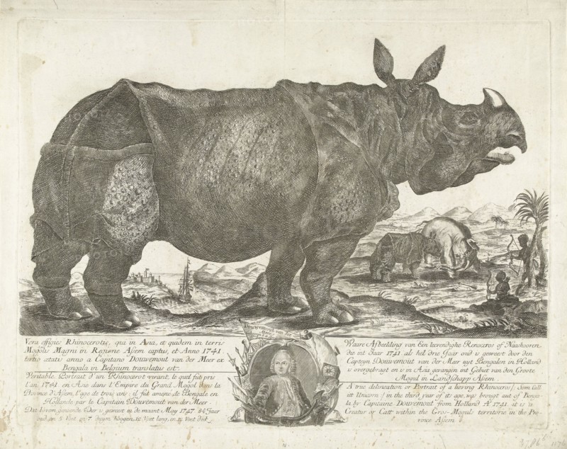 The rhinocerus Clara, 1741, print maker: H. Oster, Anton August Beck, Johann Georg Schmidt, 1747