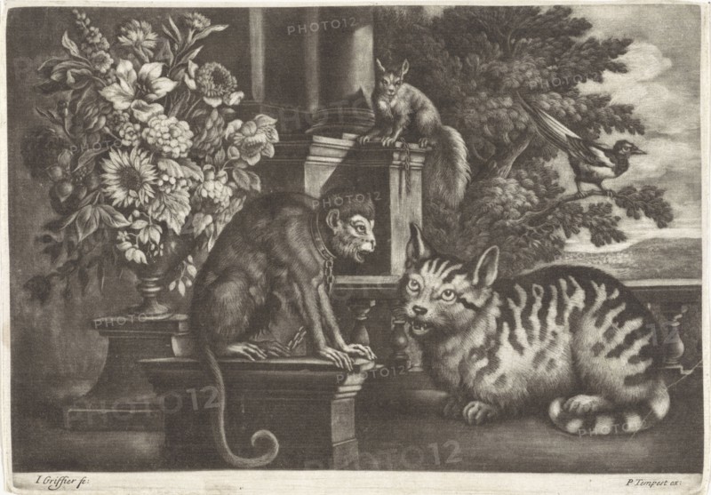 Monkey, cat, squirrel and magpie, Jan Griffier I, Francis Barlow, Pierce Tempest, 1667-1717