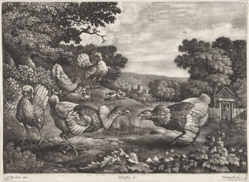 Fighting chickens, Jan Griffier (I), Pierce Tempest, 1667 - 1718