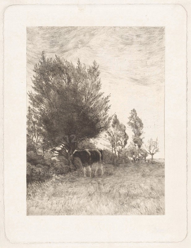 Landscape with cow at tree, Willem Steelink (II), 1866-1928, print maker: Willem Steelink II, 1866 - 1928