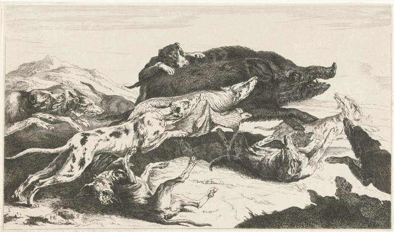 Dogs hunt a boar, William Young Ottley, Peeter Boel, 1828