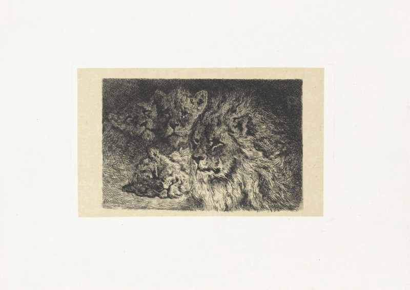 Lion and lioness, Frederik Willem ZÃ¼rcher, 1845 - 1894