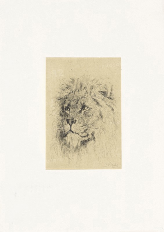 Head of a lion, Frederick Willem Zurcher, 1845-1894