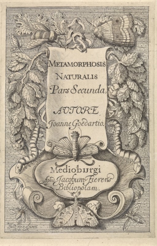 Title page for Johannes Goedaerts "Metamorphosis Naturalis", part 2, Middelburg 1667, decorated with insects, such as a bee, a butterfly, and two moths, print maker: Johannes Goedaert (mentioned on object), Dating 1667