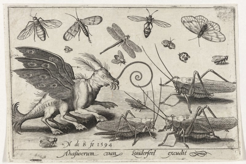 Locusts and fantasy creature with wings and webbed, Nicolaes de Bruyn, 1594