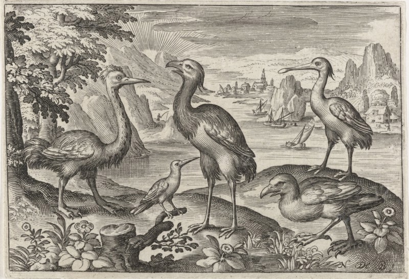 Crowned Crane between two ostriches, Nicolaes de Bruyn, 1594