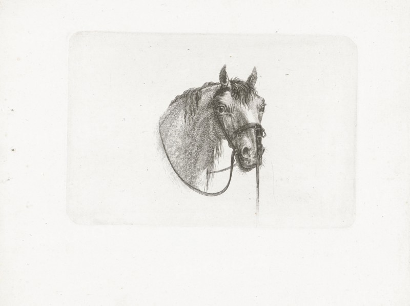Horse head, slightly to the right, Joannes Bemme, Gerrit Malleyn, c. 1800 - in or before 1841