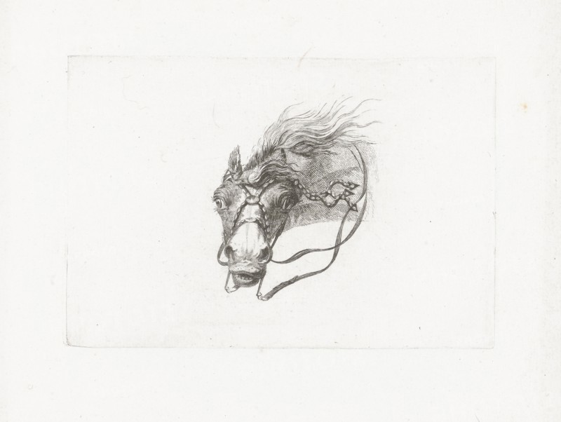 Horse head with flowing mane, Joannes Bemme, Gerrit Malleyn, c. 1800 - in or before 1841