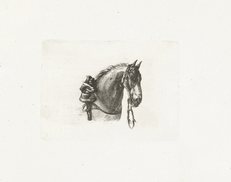 Horse head, right, Joannes Bemme, Dirk Langendijk, c. 1800 - in or before 1841
