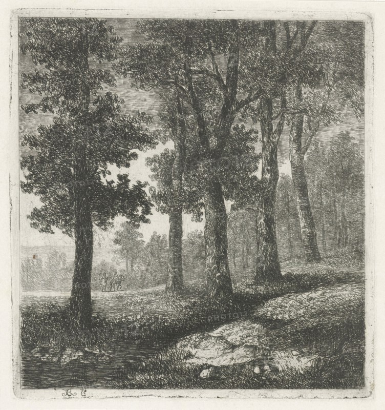 View of a forest, Hermanus Jan Hendrik van Rijkelijkhuysen, 1823 - 1883