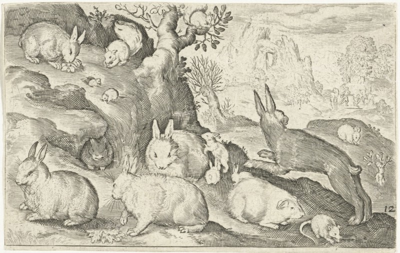 rabbits, squirrel, guinea pig and mouse, Nicolaes de Bruyn, 1594