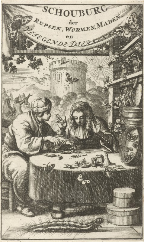 Scholars studying insects, Jan Luyken, Jan Claesz ten Hoorn, 1680