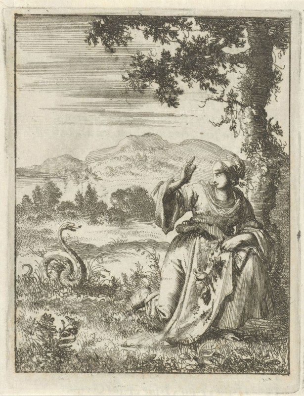 A woman picking a flower attacked by a snake, Jan Luyken, Pieter Arentsz II, 1687