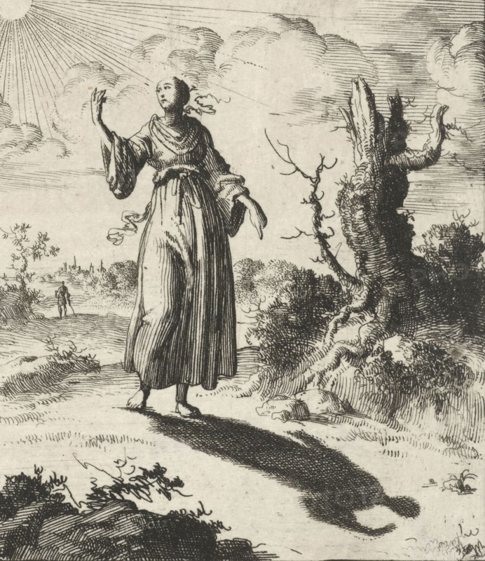 Female beholds her own shadow, Jan Luyken, Pieter Arentsz (II), 1687