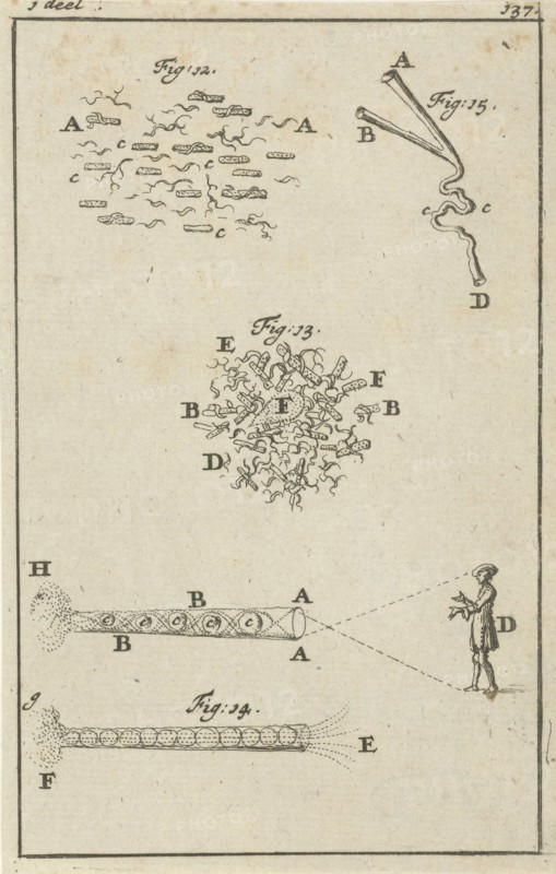 Four representations regarding seeing, print maker: Jan Luyken, Jan Claesz ten Hoorn, 1684