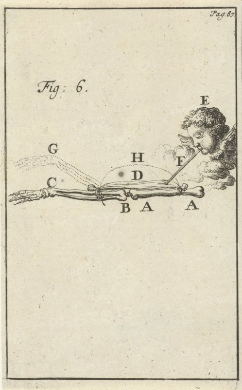 Movement of the arm, Fig 6, Jan Luyken, Jan Claesz ten Hoorn, 1683