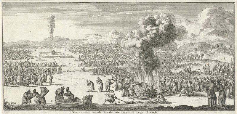 sacrifice of the red heifer, Jan Luyken, Willem Goeree, 1683