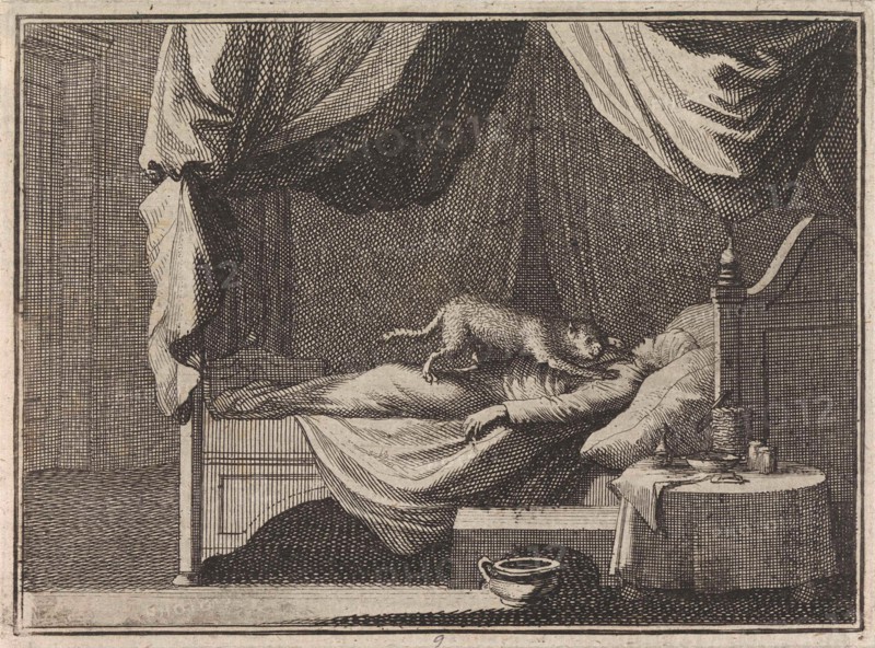 Sleeping heretic is attacked by a cat, Caspar Luyken, Christoph Weigel, Frantz Martin Hertzen, 1710