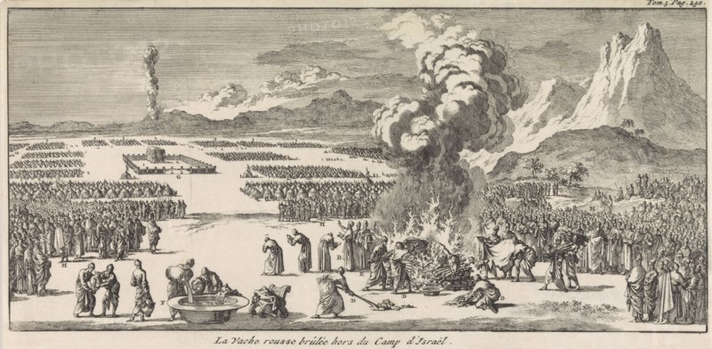 Sacrifice of the red young cow, Jan Luyken, Pieter Mortier, 1705