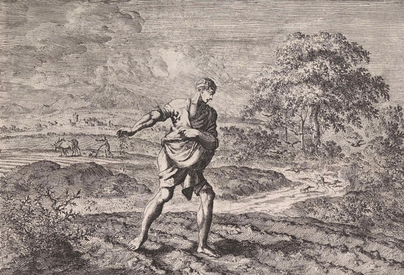 Parable of the Sower and the kingdom of heaven, Jan Luyken, Pieter Mortier, 1703-1762