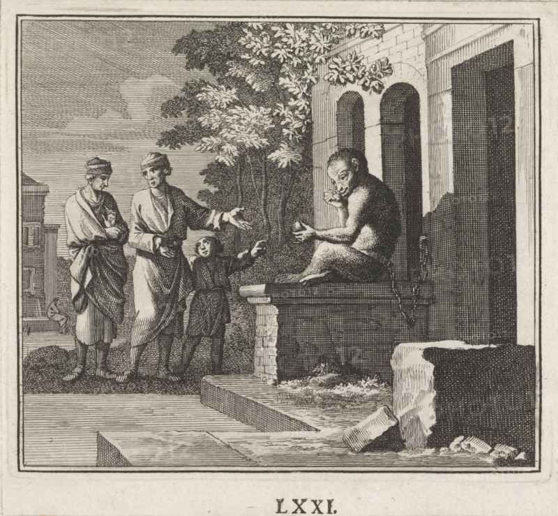 Emblem: monkey, Caspar Luyken, Christoph Weigel, 1695 - 1705