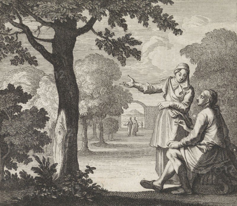 tree, Caspar Luyken, Christoph Weigel, 1695 - 1705