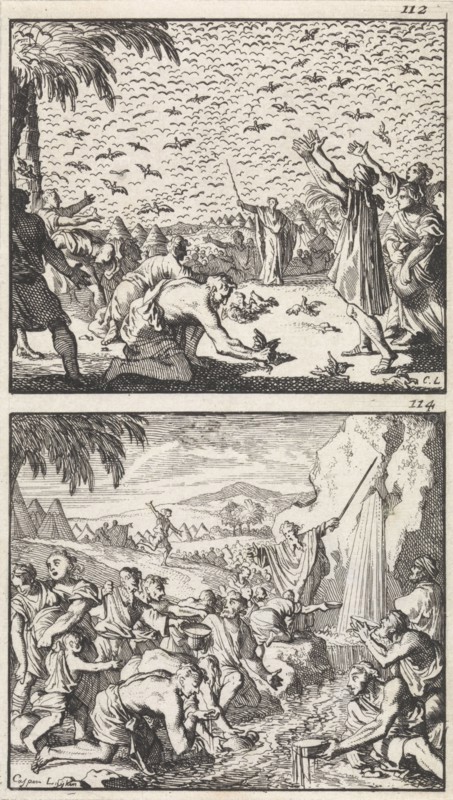 Quail in the Desert, Moses strikes water from the rock, print maker: Caspar Luyken, Barent Visscher, Andries van Damme, 1698