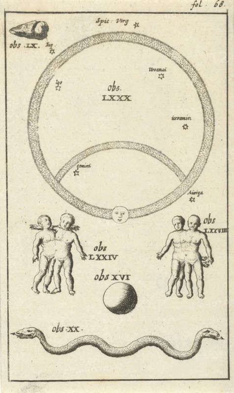 Anatomical figure IV, Jan Luyken, Jan Claesz ten Hoorn, 1680 - 1688