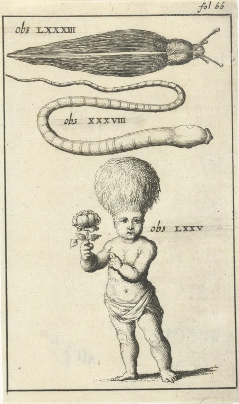 Anatomical figure III, Jan Luyken, Jan Claesz ten Hoorn, 1680 - 1688