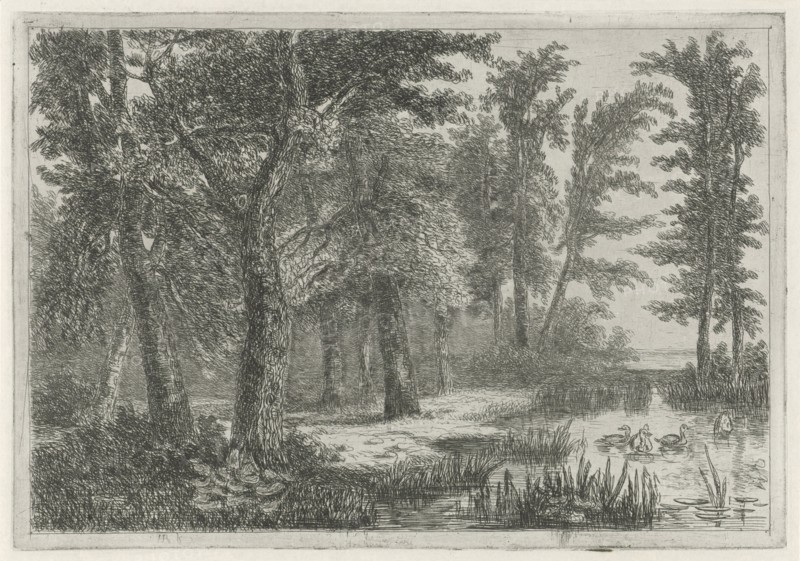 forest scene with a natural pond with ducks, print maker: Hermanus Jan Hendrik van Rijkelijkhuysen, 1823 - 1883