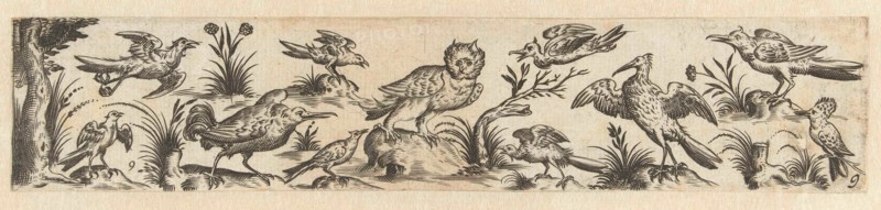 Frieze featuring eleven birds, at the left end is a tree, Hans Collaert (I), Claes Jansz. Visscher (II), 1631
