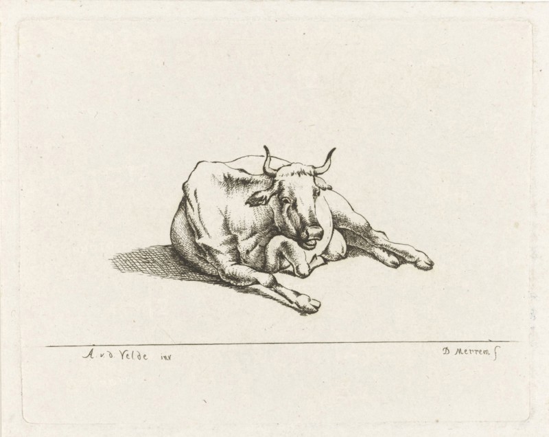 Lying cow, D. Merrem, 1700 - 1800