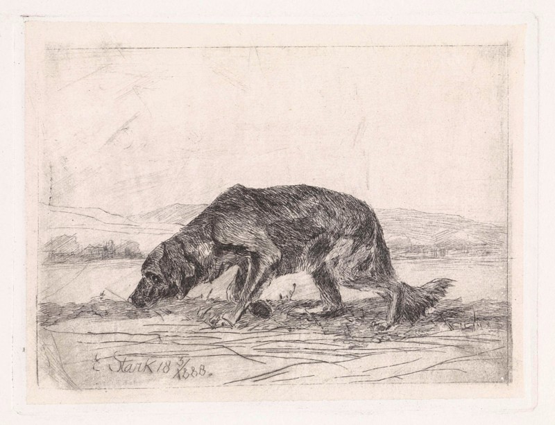 Dog, Elias Stark, 1888