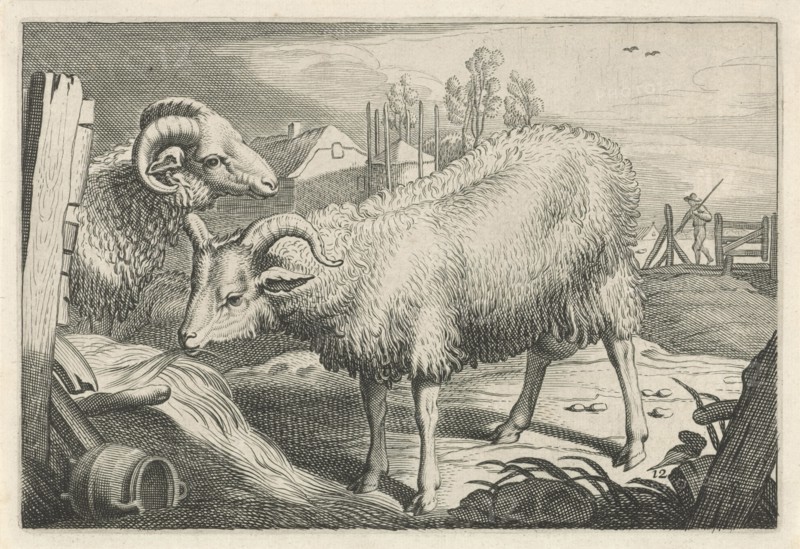 Pasture with a sheep and a ram, Reinier van Persijn, Jacob Gerritsz Cuyp, Nicolaes Visscher (I), 1641