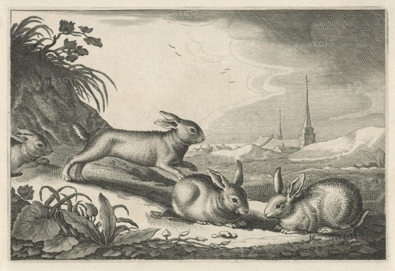 Dune landscape with rabbits, Reinier van Persijn, Jacob Gerritsz Cuyp, Nicolaes Visscher (I), 1641