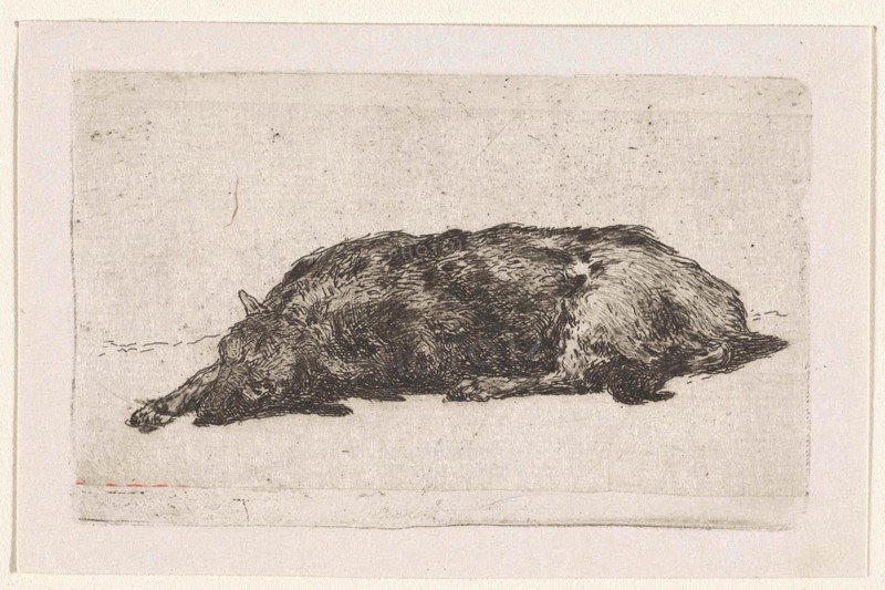 Sleeping dog, Jan Weissenbruch, 1837 - 1880