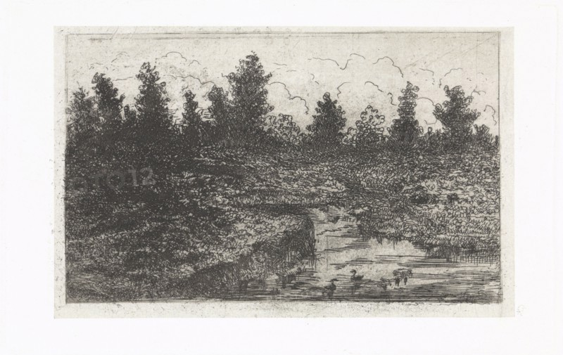 Pond with ducks, Arnoud Schaepkens, 1831-1904
