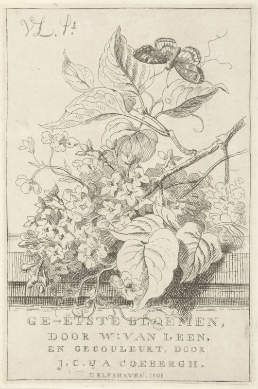 Flower Study with butterfly, Willem van Leen, 1801